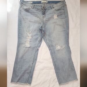 Torrid Blue Boyfriend With Distressed Lace Detail